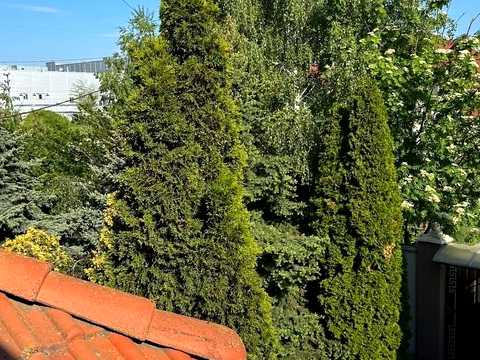будинок за адресою Педагогічна вул., 12