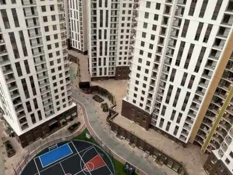 1877296933711347