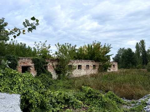комерційна за адресою Центральна, 17