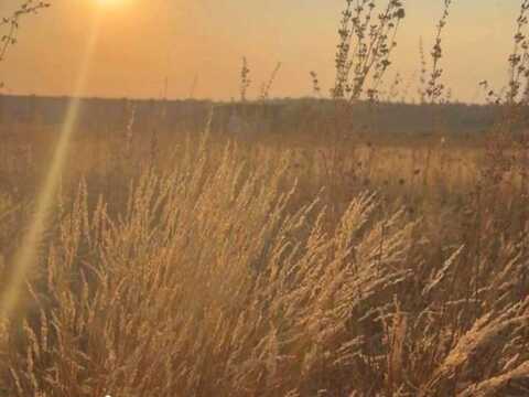 ділянка за адресою Бочальська, 6