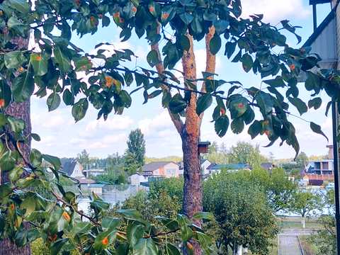дом по адресу Київська ул., 6-А