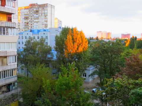 квартира за адресою Академіка Булаховського вул., 30