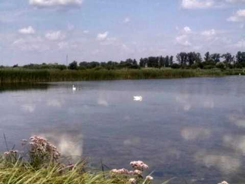 участок по адресу Бандери, 40