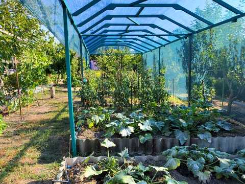 будинок за адресою с. Маринівка, Грушевая