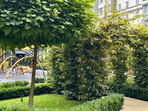 квартира за адресою Івана Кожедуба вул., 3-Д