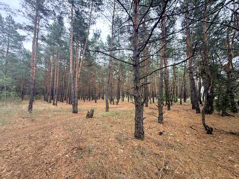 будинок за адресою Садова вул.