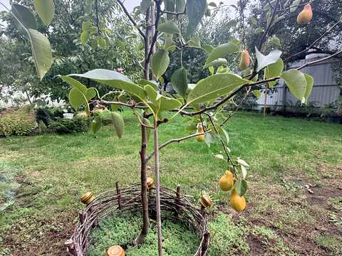 будинок за адресою Садова вул.