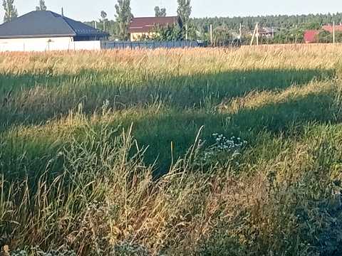 участок по адресу Зоряна