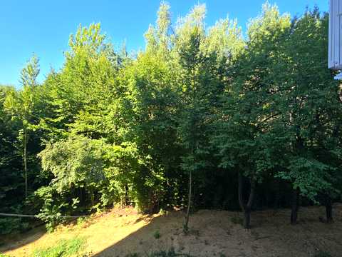 квартира за адресою Виноградна вул., (Будинок 12)