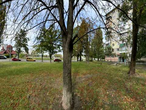 квартира по адресу Петра Курінного ул. (Комісара Рикова), 1