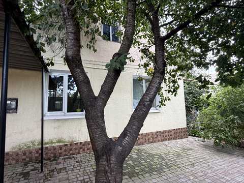 дом по адресу Юннатов ул.