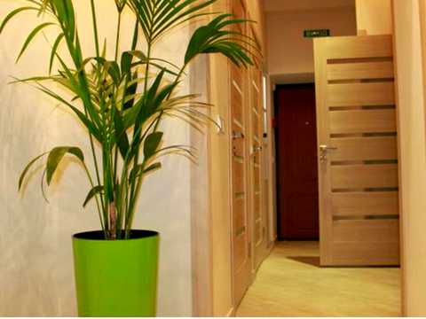 комерційна за адресою Шептицьких вул., 30