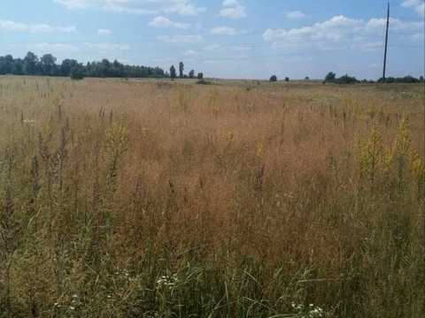 участок по адресу Миру