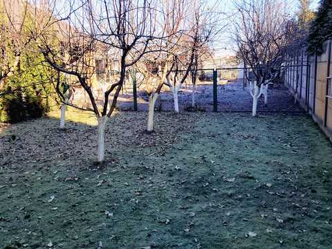 квартира за адресою Прикордонна вул., 4