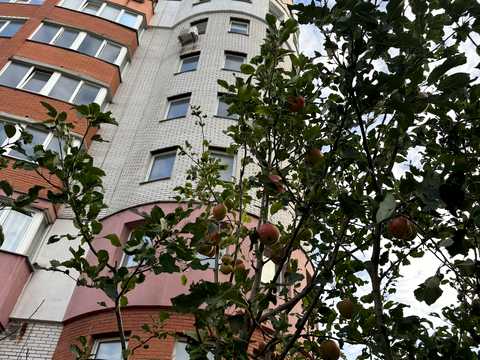 квартира за адресою Боголюбова вул., 23