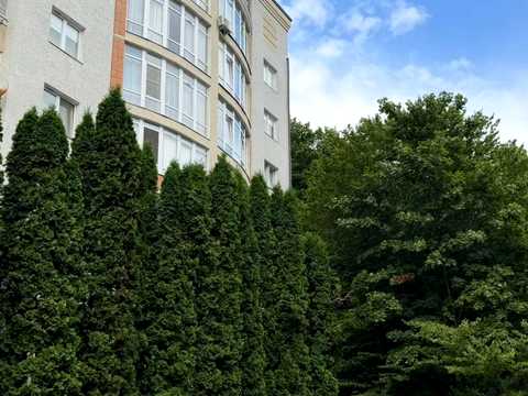 квартира за адресою Кубанська вул., 8