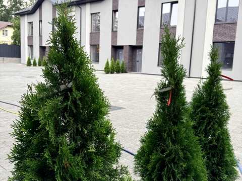 дом по адресу Выговского ул. (Суворова)