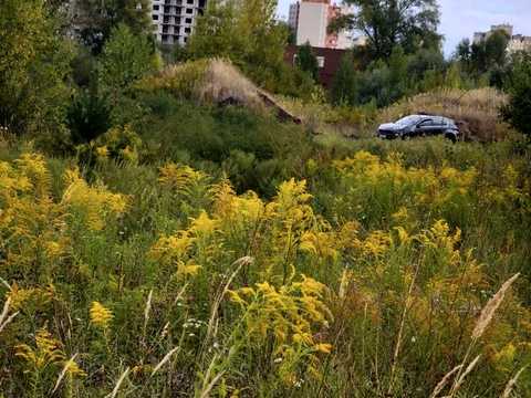 ділянка за адресою Провулок Крайній, 29