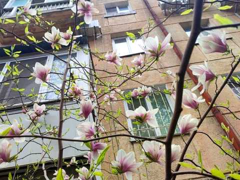 квартира за адресою Одеса, Фонтанська дорога вул., 15а