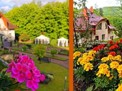 комерційна за адресою Свалява, Мукачівська вул., 3
