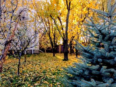 будинок за адресою Зоряна, 13