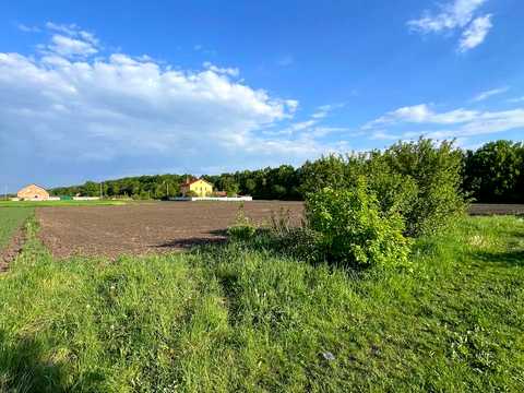 ділянка за адресою с. Грузевиця, Стрілка