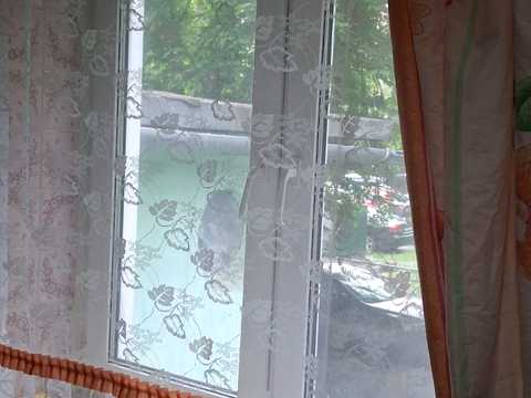 комната по адресу Киев, Жюля Верна бульв. (Ромена Роллана), 4