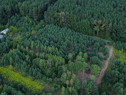 ділянка за адресою Лесі Українки