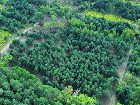 ділянка за адресою Лесі Українки