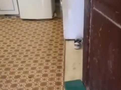 будинок за адресою Харків, Семиградська вул., 20