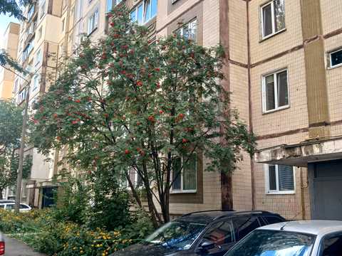 квартира по адресу Чорних Запорожців ул. (Короленка), 70-Б