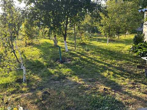 дом по адресу Независимости  (Матросова ), 67