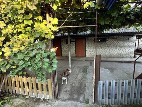 дом по адресу Независимости  (Матросова ), 67