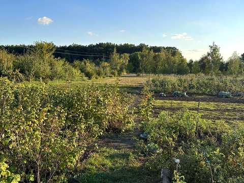дом по адресу Независимости  (Матросова ), 67