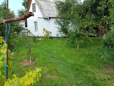 дом по адресу Независимости  (Матросова ), 67