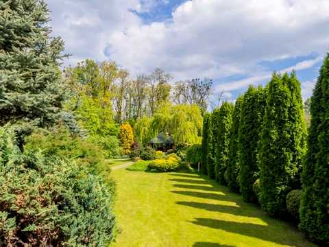 дом по адресу Княгині Ольги ул.