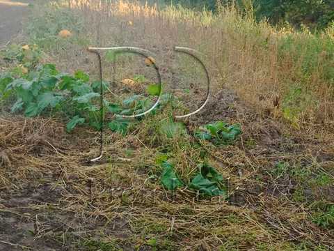 будинок за адресою Першотравнева вулиця