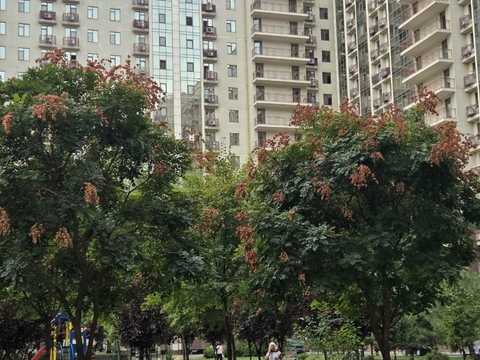 квартира за адресою Перлинна вул., 3