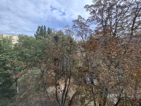 квартира по адресу Академика Королёва ул., 1