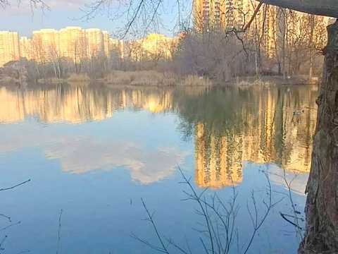 квартира по адресу Урловская ул., 38-А