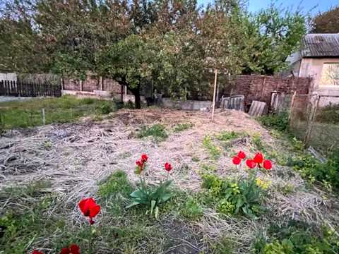 будинок за адресою Дніпро, Юхима Михайлова вул. (Кулагіна), 41