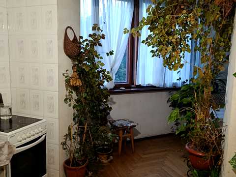 кімната за адресою Срібнокільська вул., 14