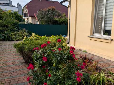 будинок за адресою Всеволода Петріва вул. (Кирпоноса)