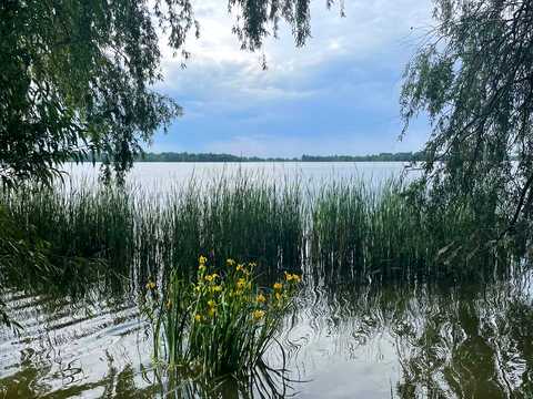 квартира за адресою Соломії Крушельницької вул., 15