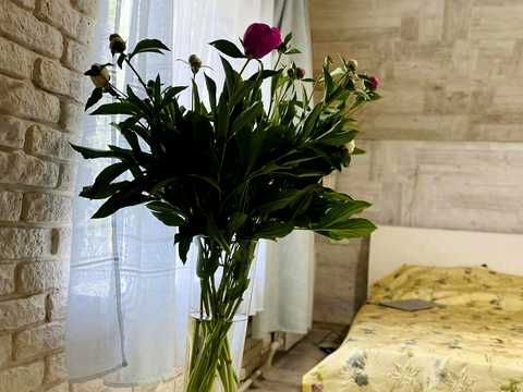 квартира по адресу Болгарская ул., 72