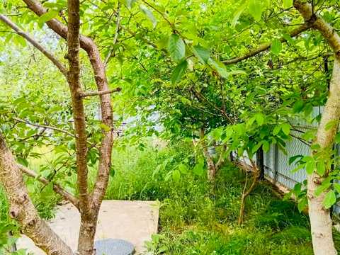 дом по адресу Единства ул., 5