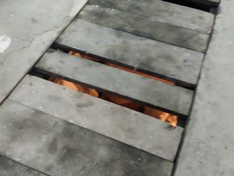 1877661288630040