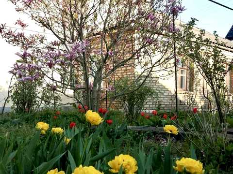 дом по адресу В Петропавлівська, 5