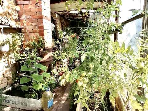 дом по адресу В Петропавлівська, 5