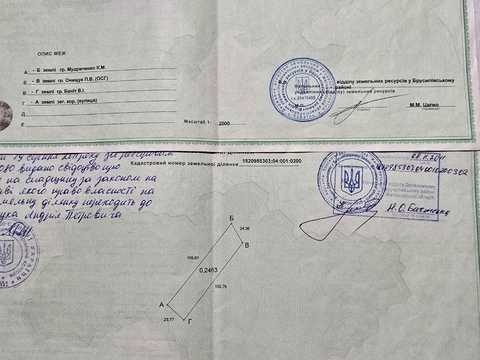 будинок за адресою с. Долинівка, Центральна, 40